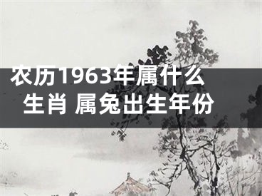 农历1963年属什么生肖 属兔出生年份