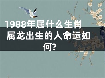 1988年属什么生肖 属龙出生的人命运如何?