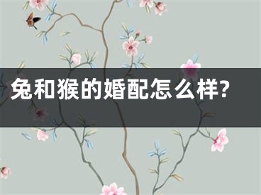 兔和猴的婚配怎么样?
