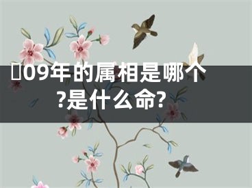 ​09年的属相是哪个?是什么命?