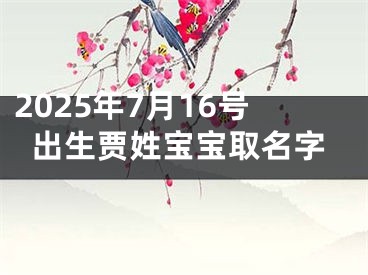 2025年7月16号出生贾姓宝宝取名字