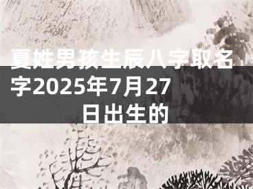 夏姓男孩生辰八字取名字2025年7月27日出生的