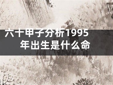 六十甲子分析1995年出生是什么命
