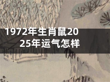 1972年生肖鼠2025年运气怎样