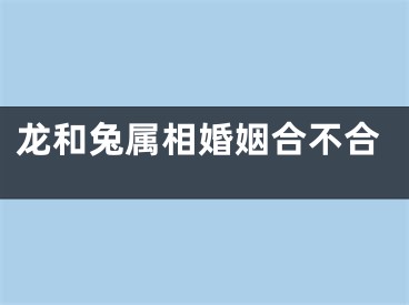 龙和兔属相婚姻合不合