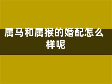 属马和属猴的婚配怎么样呢