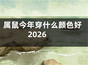 属鼠今年穿什么颜色好2026