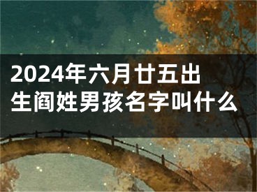 2024年六月廿五出生阎姓男孩名字叫什么