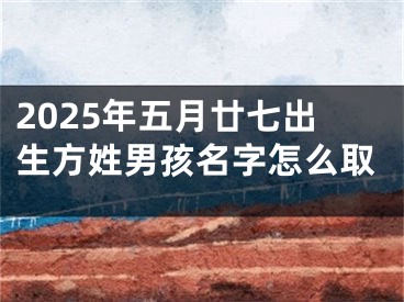 2025年五月廿七出生方姓男孩名字怎么取