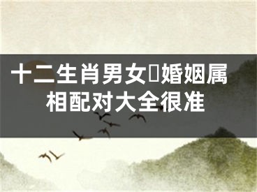 十二生肖男女​婚姻属相配对大全很准