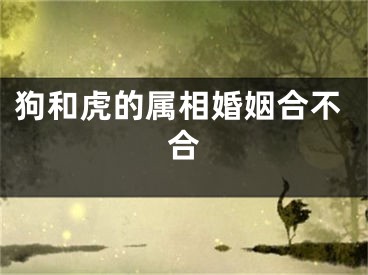 狗和虎的属相婚姻合不合