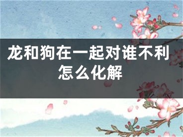 龙和狗在一起对谁不利怎么化解