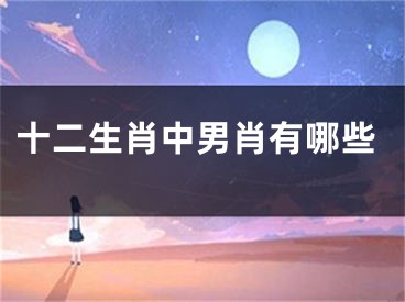 十二生肖中男肖有哪些
