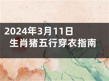 2024年3月11日生肖猪五行穿衣指南