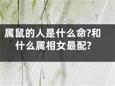 属鼠的人是什么命?和什么属相女最配?