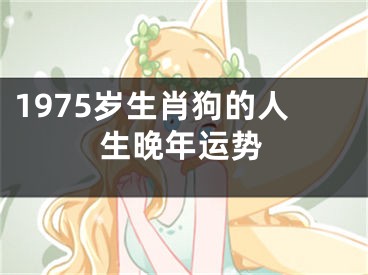 1975岁生肖狗的人生晚年运势