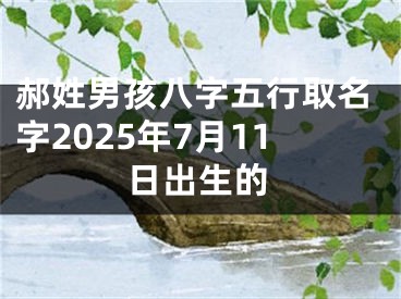 郝姓男孩八字五行取名字2025年7月11日出生的