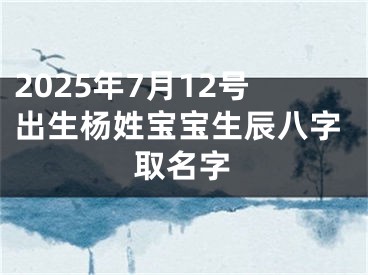 2025年7月12号出生杨姓宝宝生辰八字取名字