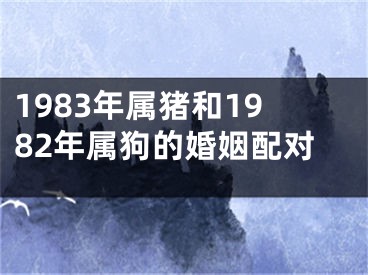 1983年属猪和1982年属狗的婚姻配对