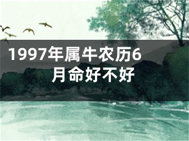 1997年属牛农历6月命好不好