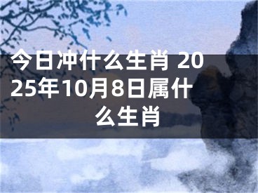 今日冲什么生肖 2025年10月8日属什么生肖