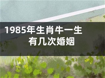 1985年生肖牛一生有几次婚姻