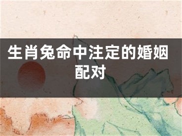 生肖兔命中注定的婚姻配对