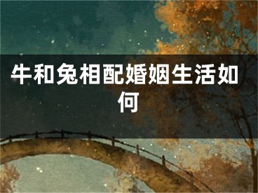 牛和兔相配婚姻生活如何