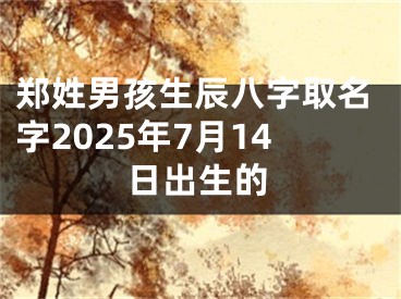 郑姓男孩生辰八字取名字2025年7月14日出生的