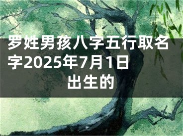 罗姓男孩八字五行取名字2025年7月1日出生的