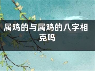 属鸡的与属鸡的八字相克吗