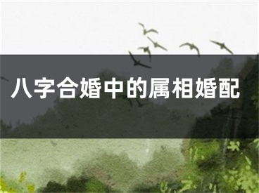 八字合婚中的属相婚配