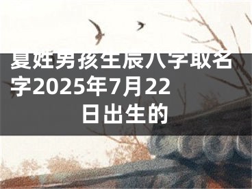 夏姓男孩生辰八字取名字2025年7月22日出生的
