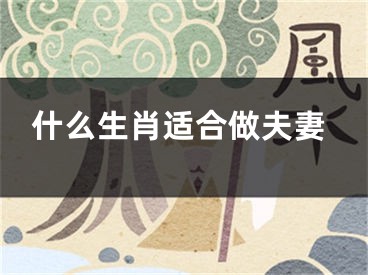什么生肖适合做夫妻