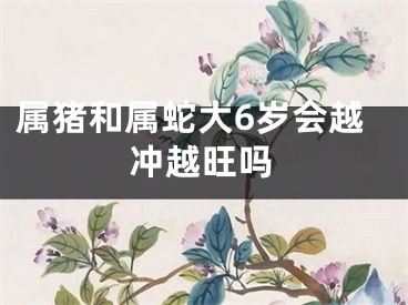 属猪和属蛇大6岁会越冲越旺吗