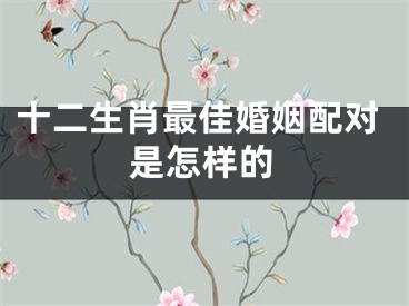 十二生肖最佳婚姻配对是怎样的