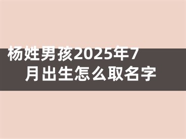 杨姓男孩2025年7月出生怎么取名字