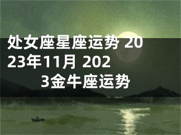 处女座星座运势 2023年11月 2023金牛座运势