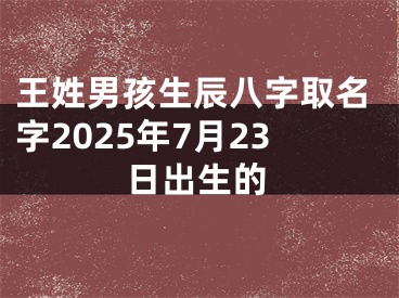 王姓男孩生辰八字取名字2025年7月23日出生的