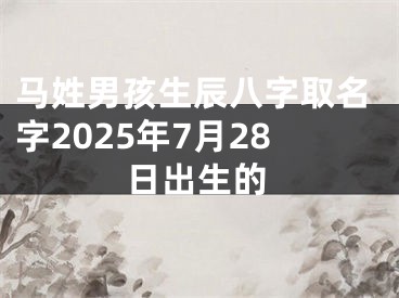 马姓男孩生辰八字取名字2025年7月28日出生的