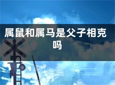 属鼠和属马是父子相克吗