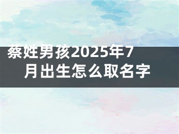 蔡姓男孩2025年7月出生怎么取名字