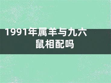 1991年属羊与九六鼠相配吗