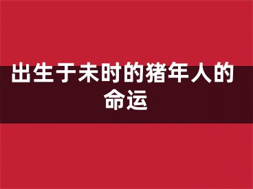 出生于未时的猪年人的命运