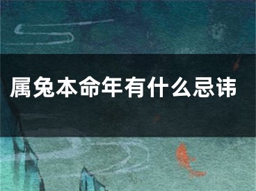 属兔本命年有什么忌讳