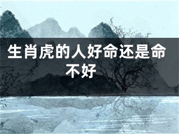 生肖虎的人好命还是命不好 