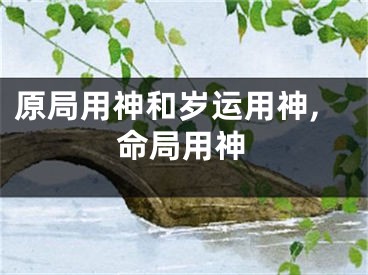 原局用神和岁运用神,命局用神