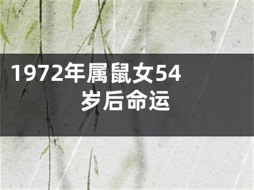1972年属鼠女54岁后命运