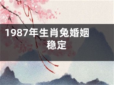 1987年生肖兔婚姻稳定