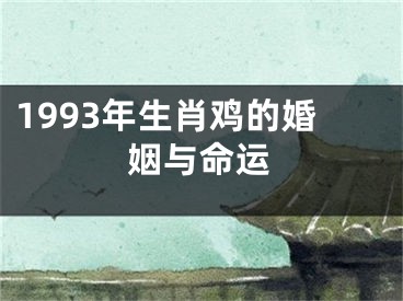 1993年生肖鸡的婚姻与命运